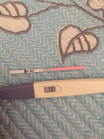 journal_insert_pic_1033902679