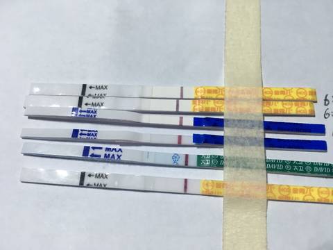 journal_insert_pic_1033631544