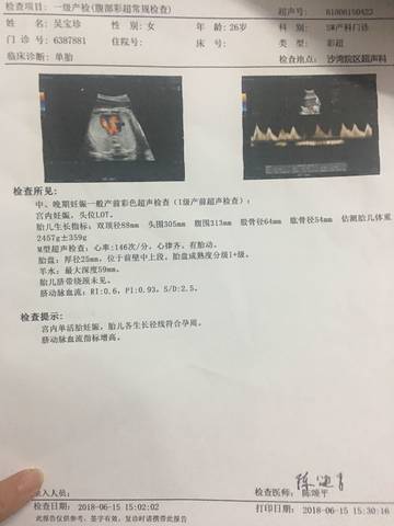 journal_insert_pic_1035437333