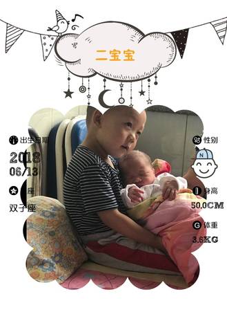 journal_insert_pic_1035454675