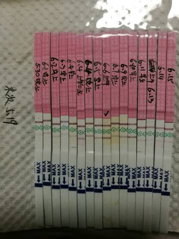journal_insert_pic_1035442220