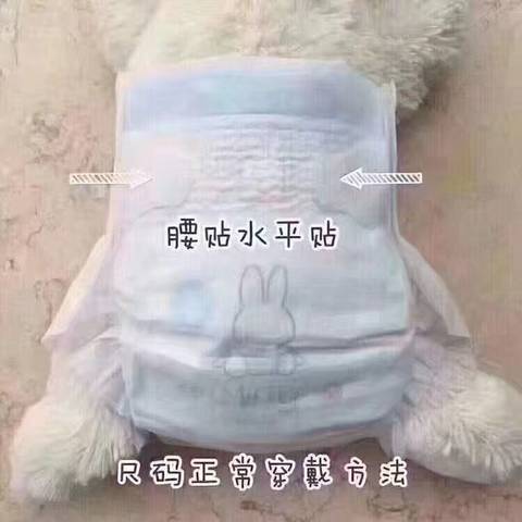 journal_insert_pic_1036328259