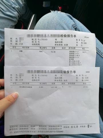 journal_insert_pic_1036610789