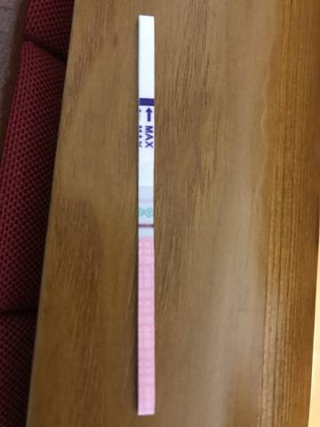 journal_insert_pic_1037361850
