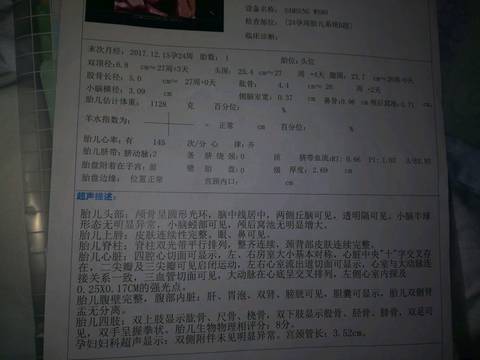 journal_insert_pic_1037614259