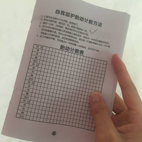 journal_insert_pic_1037971964