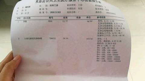 journal_insert_pic_1038265046