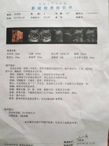 journal_insert_pic_1038613770