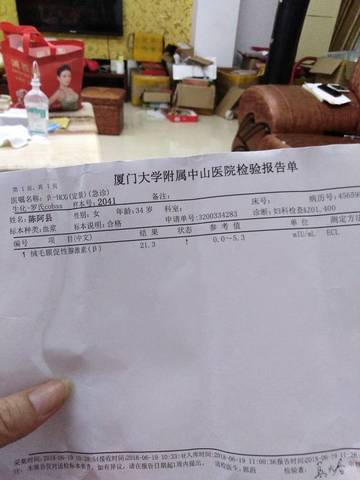 journal_insert_pic_1038349977
