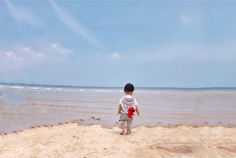 journal_insert_pic_1038537598