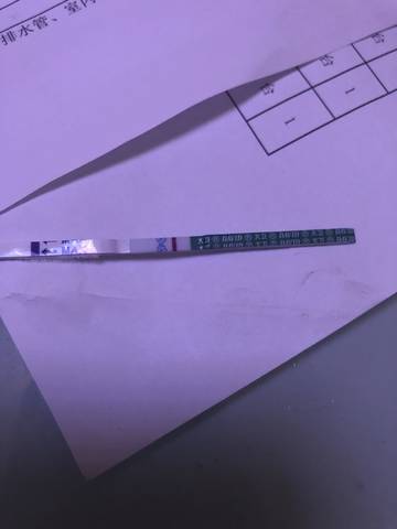 journal_insert_pic_1038926602