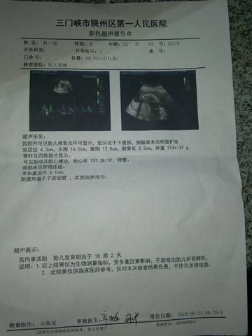 journal_insert_pic_1039259268
