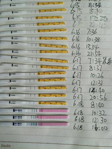 journal_insert_pic_1039194876