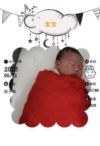 journal_insert_pic_1039675080