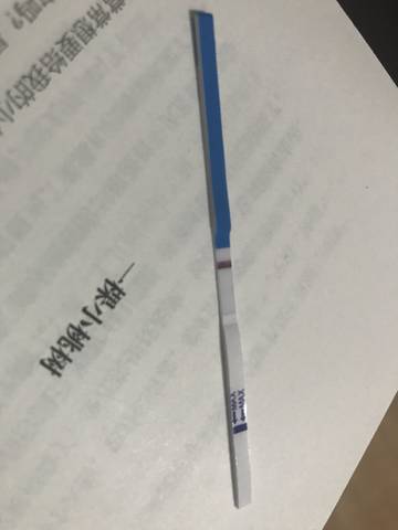 journal_insert_pic_1039615168