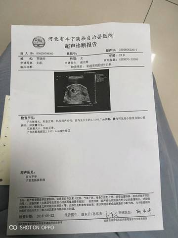journal_insert_pic_1039890915