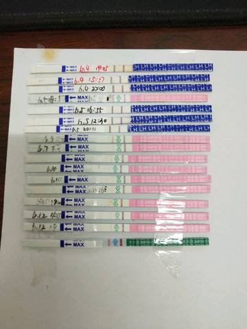 journal_insert_pic_1040110795