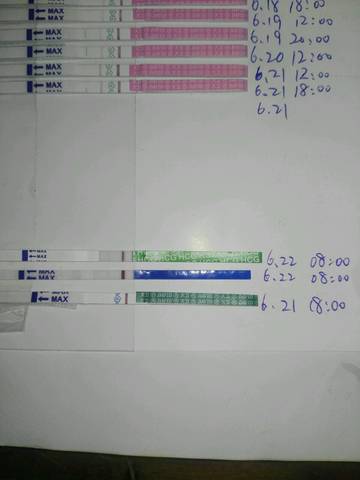journal_insert_pic_1039808523