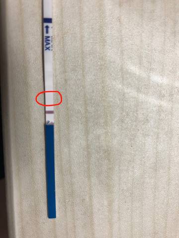 journal_insert_pic_1040275912