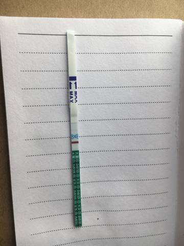 journal_insert_pic_1040557982