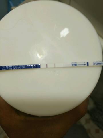 journal_insert_pic_1040950667