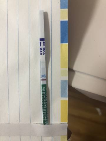 journal_insert_pic_1041012460