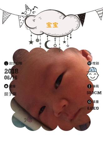journal_insert_pic_1041922867
