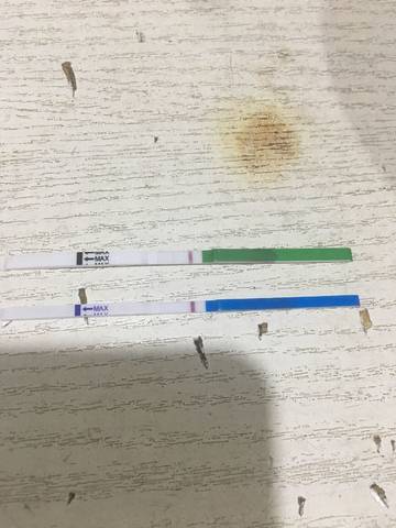 journal_insert_pic_1043542779
