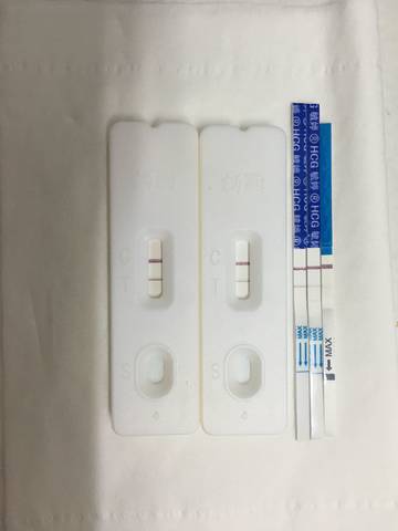 journal_insert_pic_1044147892