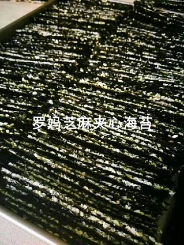 journal_insert_pic_1043889455