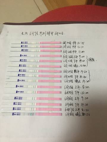 journal_insert_pic_1044261304