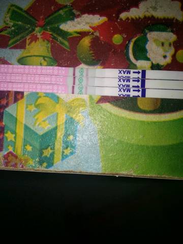 journal_insert_pic_1044841080