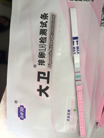 journal_insert_pic_1045315934