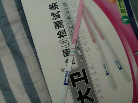 journal_insert_pic_1046491613