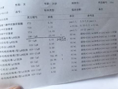 journal_insert_pic_1048344254