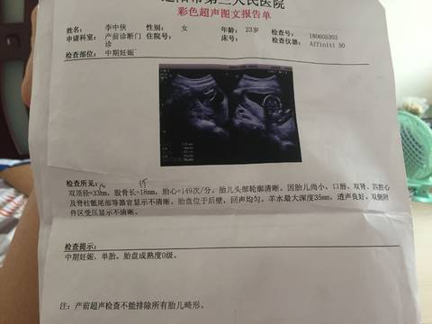 journal_insert_pic_1048485803