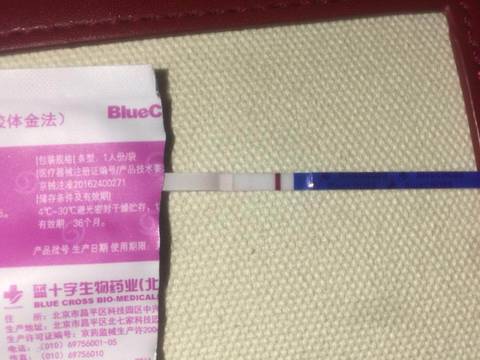 journal_insert_pic_1049318812