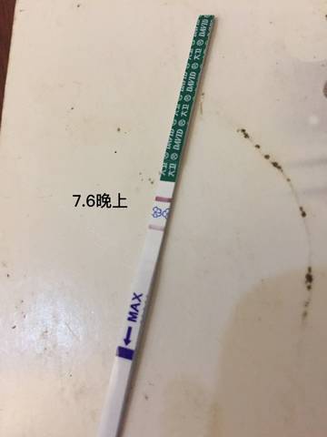 journal_insert_pic_1049388915