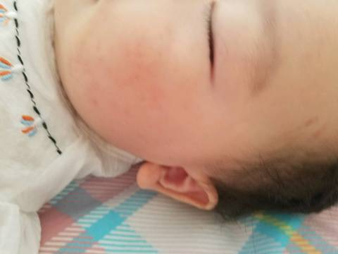 journal_insert_pic_1049610171