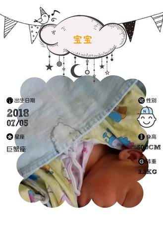journal_insert_pic_1049571016