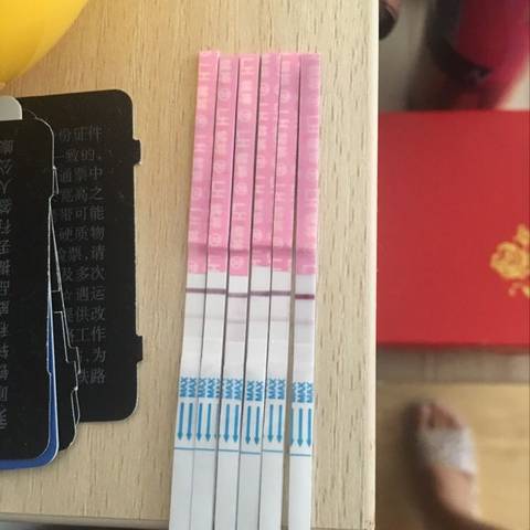 journal_insert_pic_1049741947