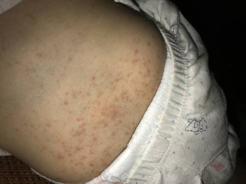 journal_insert_pic_1050823345