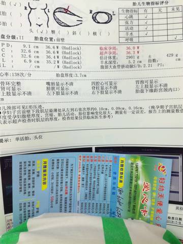 journal_insert_pic_1050389110