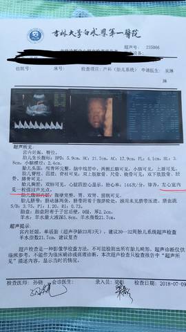 journal_insert_pic_1051147981