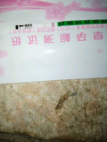 journal_insert_pic_1051362176