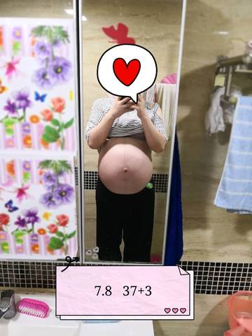 journal_insert_pic_1051152915
