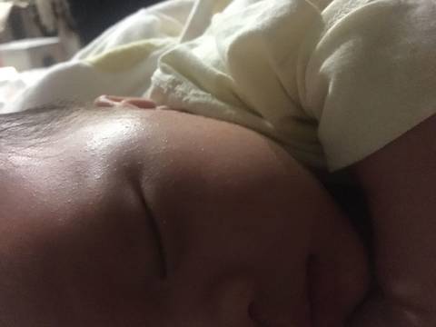 journal_insert_pic_1051335823