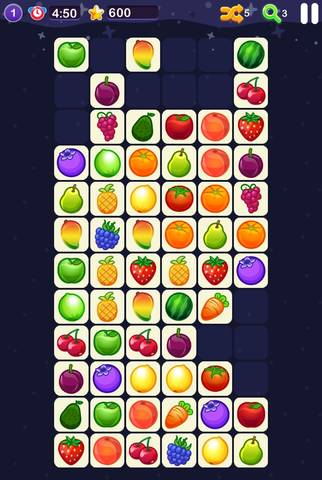 journal_insert_pic_1051522071