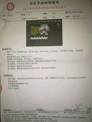 journal_insert_pic_1052518301