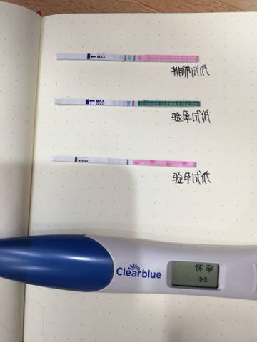 journal_insert_pic_1052457403